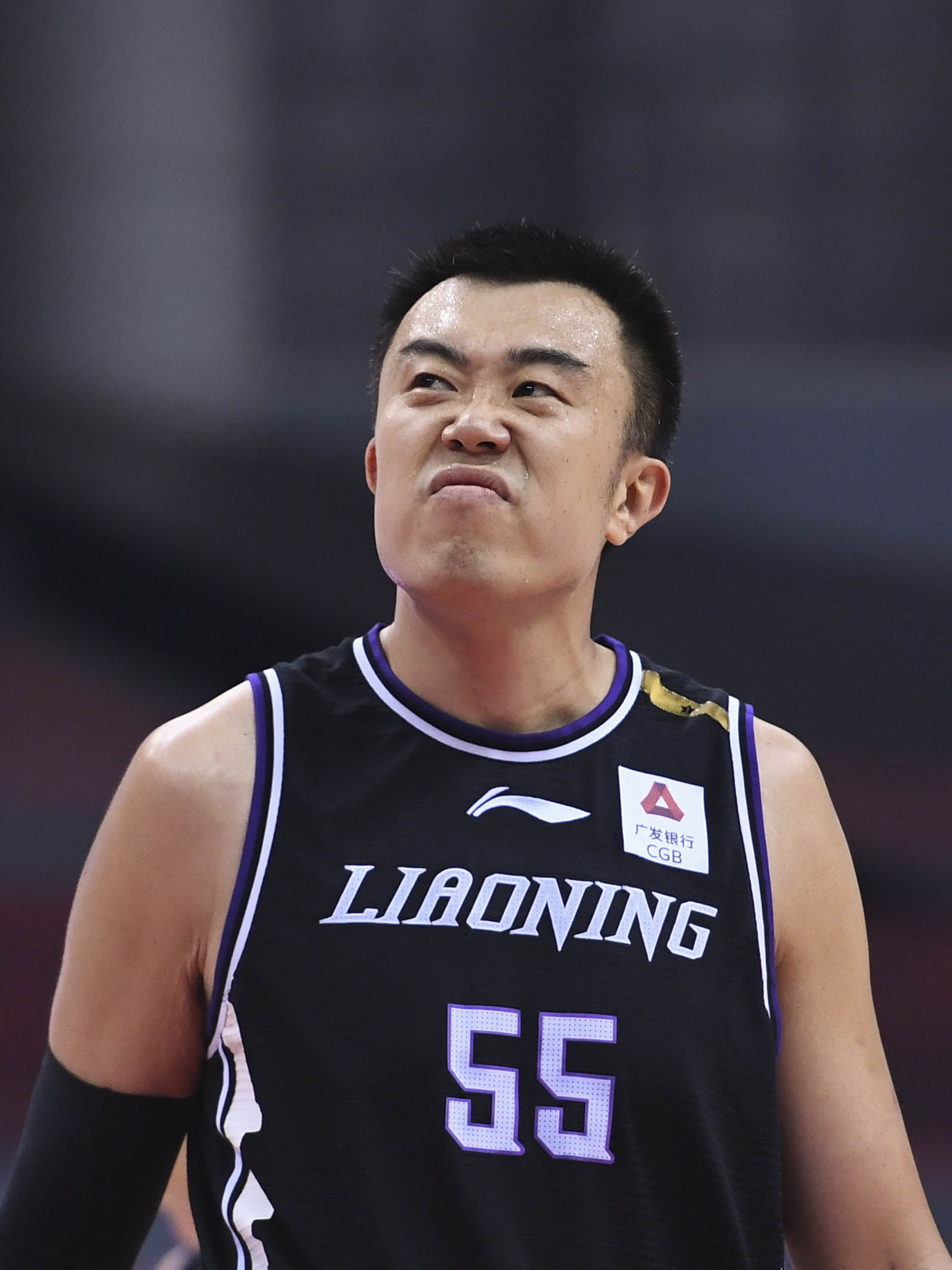北京擊敗遼寧，晉級總決賽爭奪總冠军頭銜的简单介绍