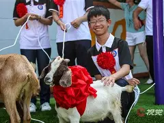 布莱梅稳坐领头羊，胜利之路任重道远的简单介绍