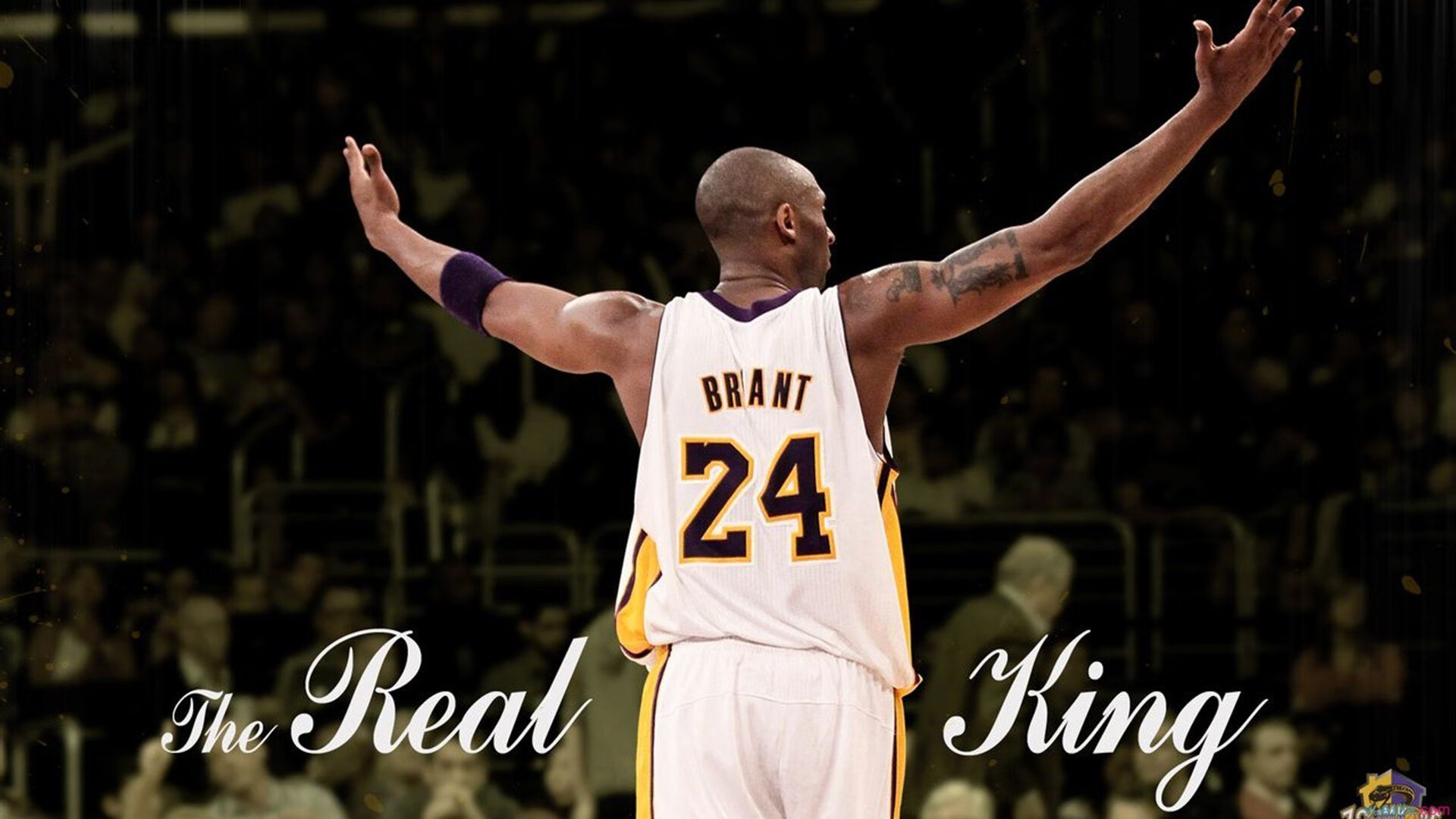 星光压境，布克破晓，独行侠围剿雷霆与新太阳的加冕夜