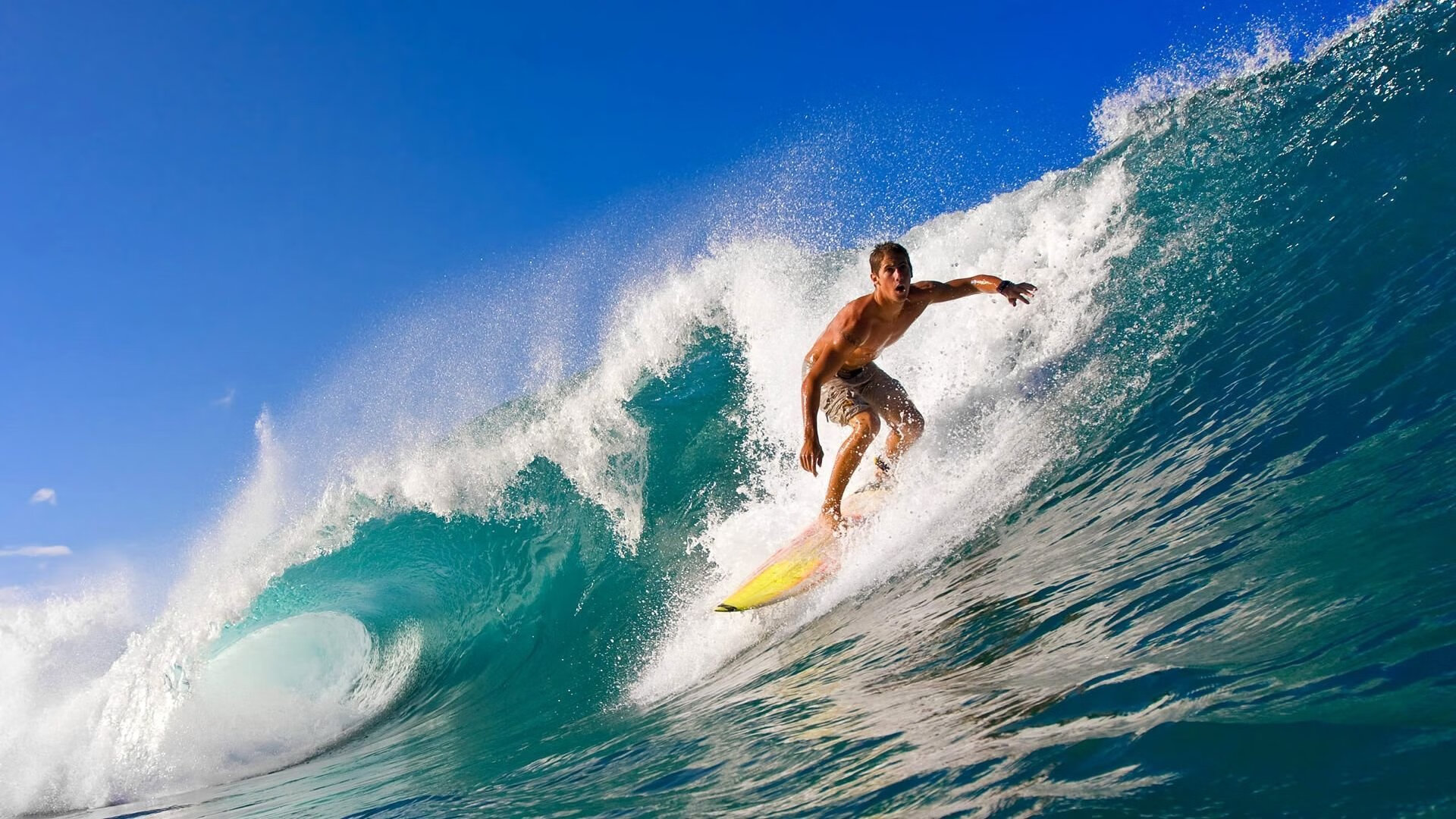 开云体育app-年终决战，蒂姆为何能轻取澳网？状态火热的背后是精英赛制的残酷淬炼